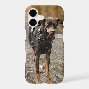 Fathers Day Scramble Golf Dad Any Photo Upload iPhone 17 Case