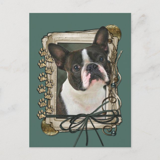 Fathers Day - Stone Paws - Boston Terrier Postcard (Front)