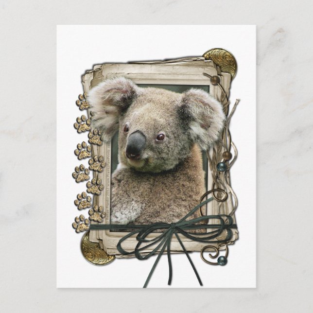 Fathers Day - Stone Paws - Koala Postcard (Front)