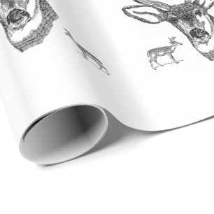 Father's Day Wrapping Paper