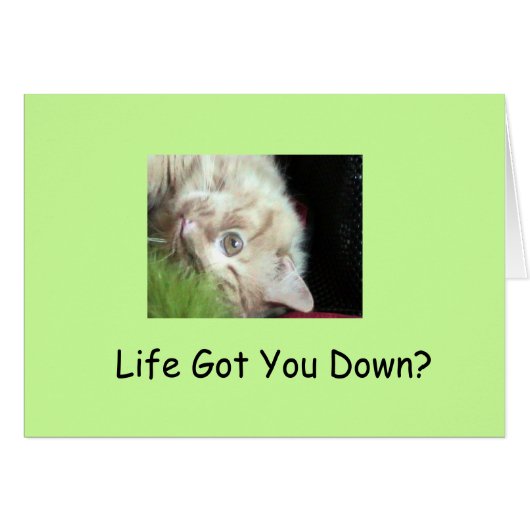 Fatty's Furry Facts (Front Horizontal)