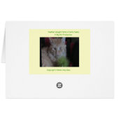 Fatty's Furry Facts Cards (Back Horizontal)