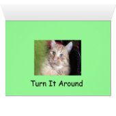 Fatty's Furry Facts Cards (Inside Horizontal (Bottom))