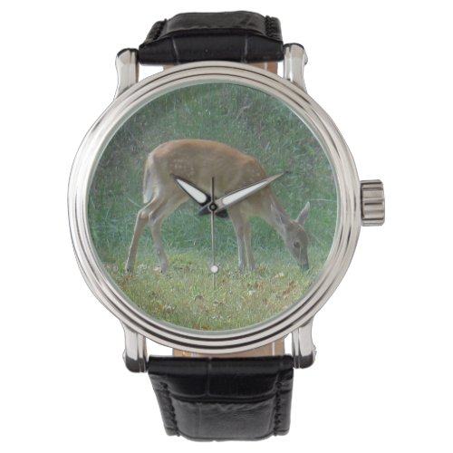 faun baby deer watch