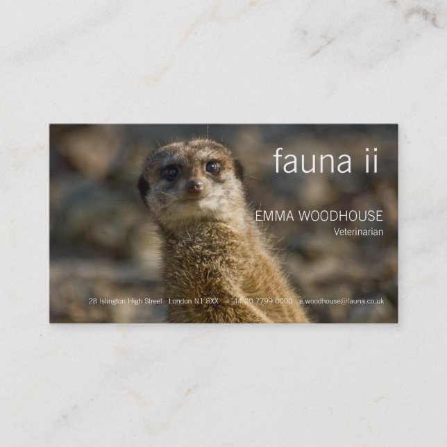 Fauna - Meerkat Business Card (Front)