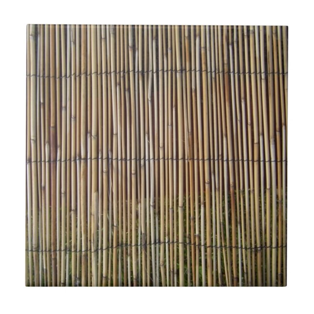 faux bamboo ceramic tile (Front)
