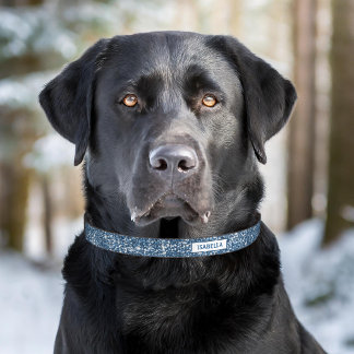 Faux Blue Glitter Texture Look With Custom Name Pet Collar