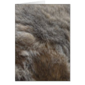 Faux Cat Fur look (Front)