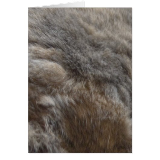 Faux Cat Fur look Cards (Front)