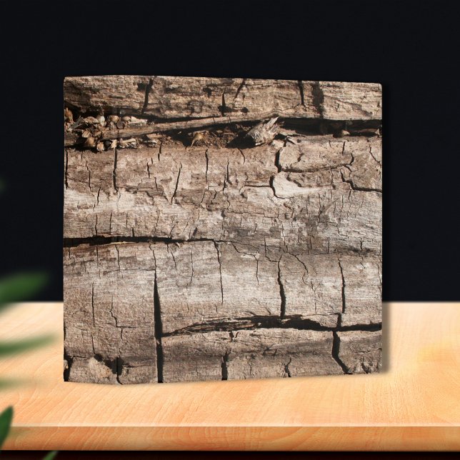 Faux Cracked Tree Binder (Creator Uploaded)