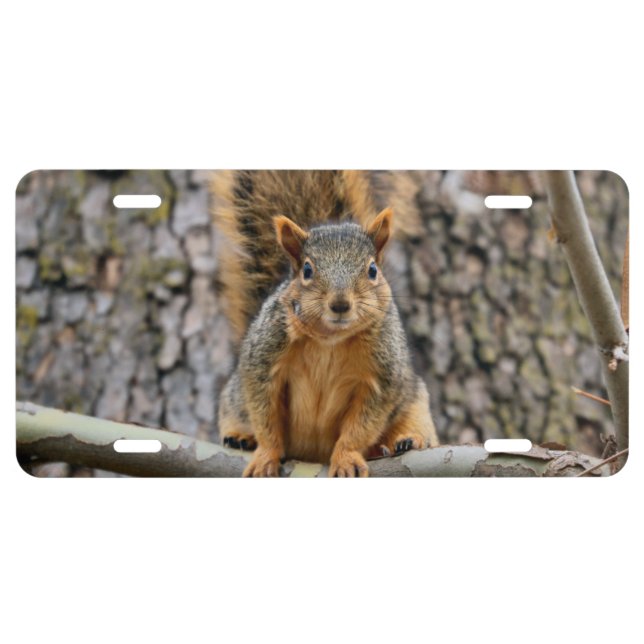 Faux fox license plate (Front)