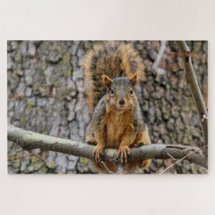 Faux fox squirrel jigsaw puzzle