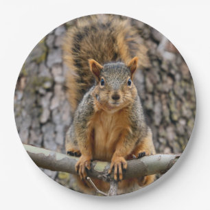 Faux fox squirrel paper plates
