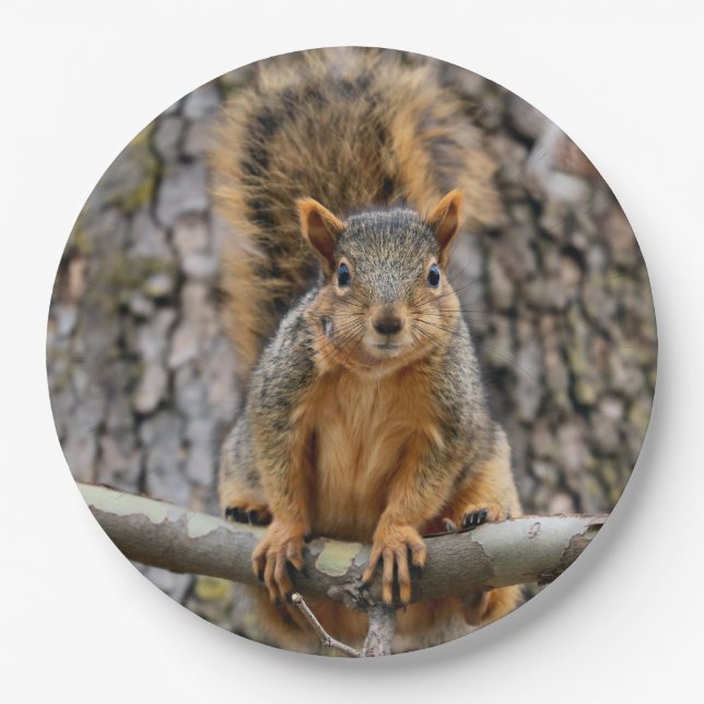 Faux fox squirrel paper plates (Front)