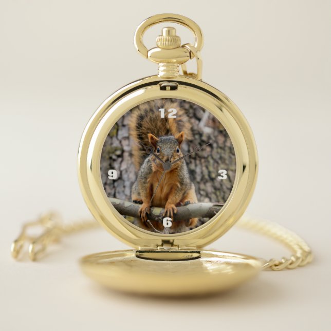 Faux fox squirrel pocket watch (Inside)