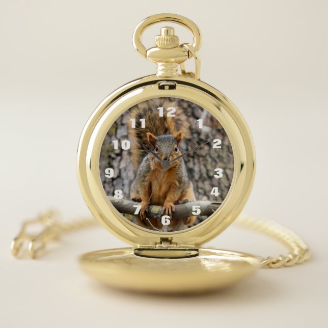 Faux fox squirrel pocket watch (Inside)