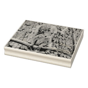 Faux fox squirrel rubber stamp