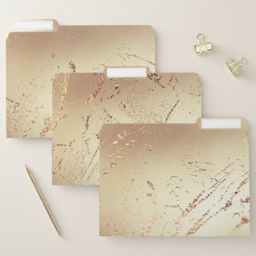 Faux gold marble vein elegant golden foil shimmer file folder