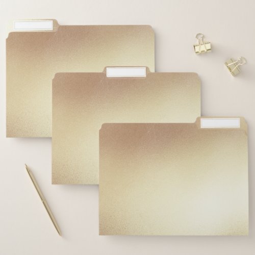Faux gold plain minimalist simple chic golden file folder
