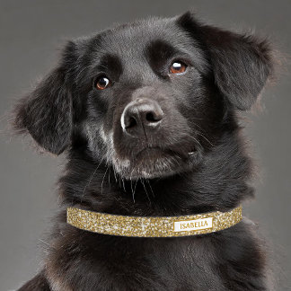 Faux Golden Yellow Glitter Texture Look Elegant Pet Collar