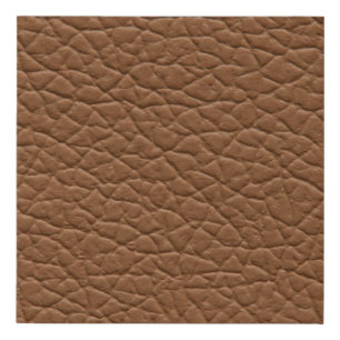 Faux leather light brown shades major texture. abs canvas print