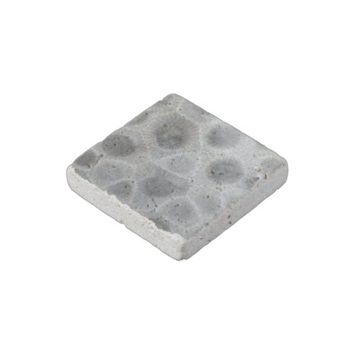 Faux Petoskey Pattern on Real Stone Fridge Magnet