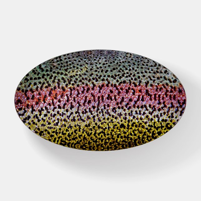 Faux Rainbow Trout Scale Texture Look Pattern Paperweight (Front)