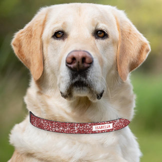 Faux Red Glitter Texture Look With Custom Name Pet Collar