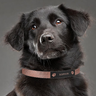 Faux Rose Gold Foil Texture & Pet's Name & Paws Pet Collar