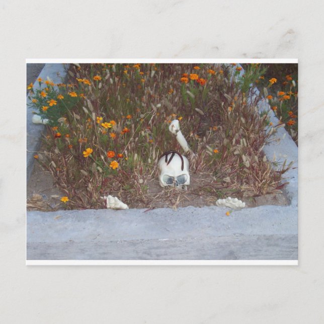 Faux Skeleton in Marigolds Halloween Photo Postcard (Front)