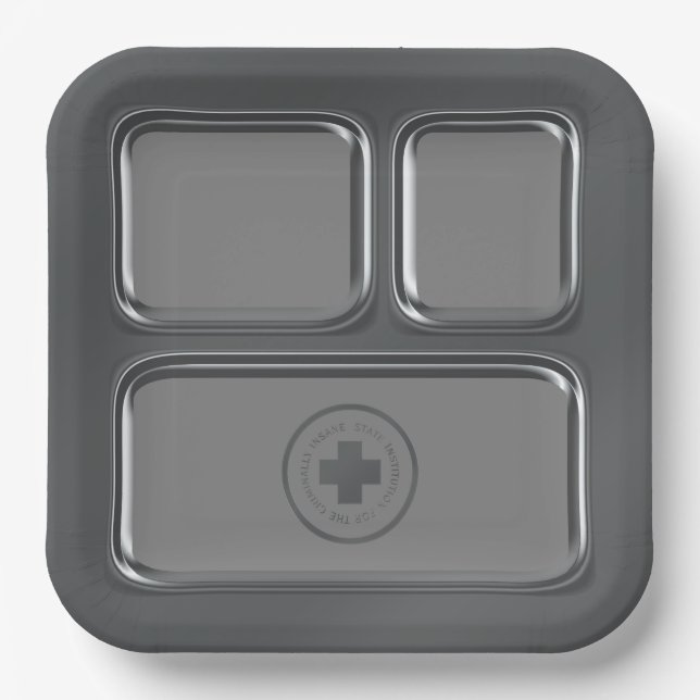 Faux Steel Hospital Prison Food Tray Paper Plates (Front)