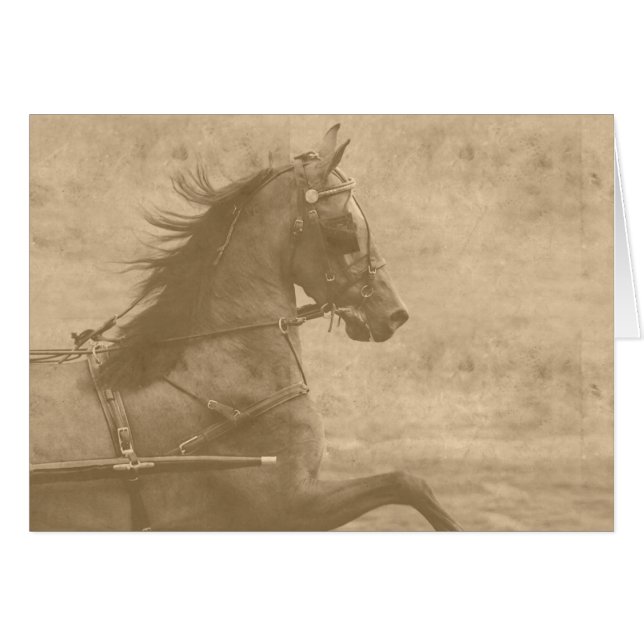 Faux Vintage Hackney (Front Horizontal)