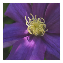 Faux Wrapped Canvas Print