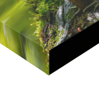 Faux Wrapped Canvas Print