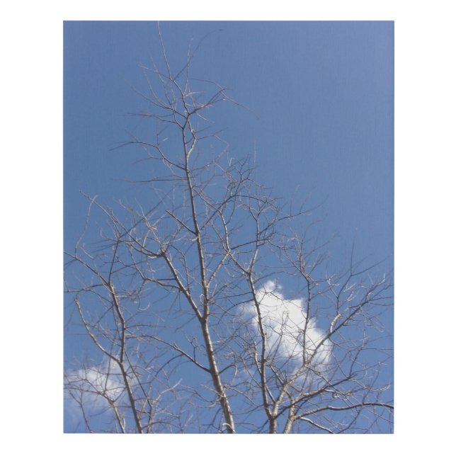 Faux Wrapped Canvas Print (Front)