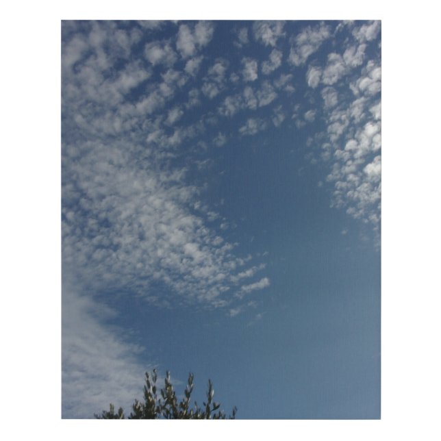 Faux Wrapped Canvas Print (Front)