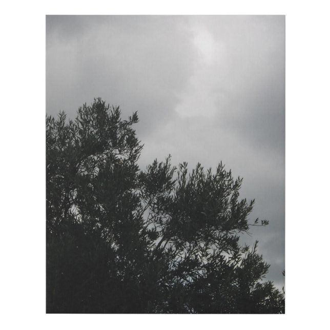 Faux Wrapped Canvas Print (Front)