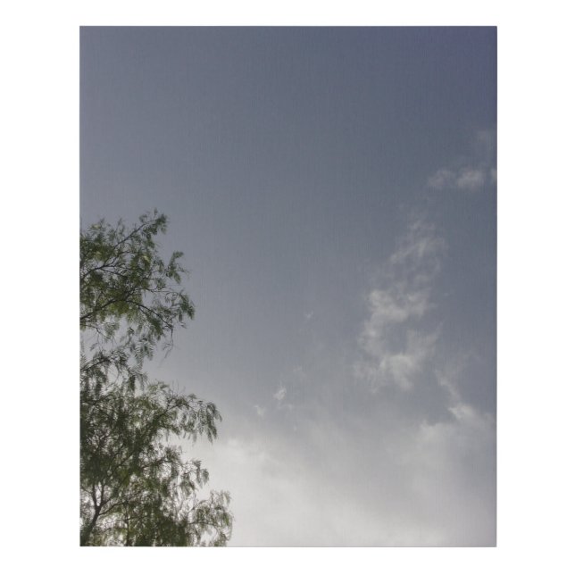 Faux Wrapped Canvas Print (Front)