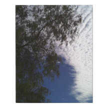 Faux Wrapped Canvas Print Photograph  