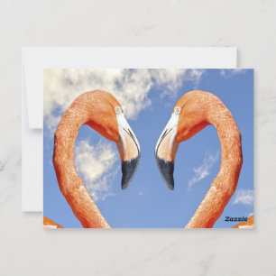 Faux Wrapped Canvas Print Postcard
