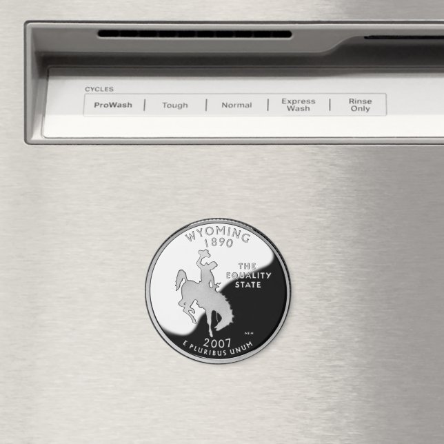 Faux Wyoming State Quarter Magnet (In Situ (Dishwasher))