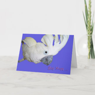 Favorite Card