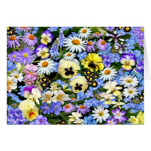 Favorite Flowers (Front Horizontal)