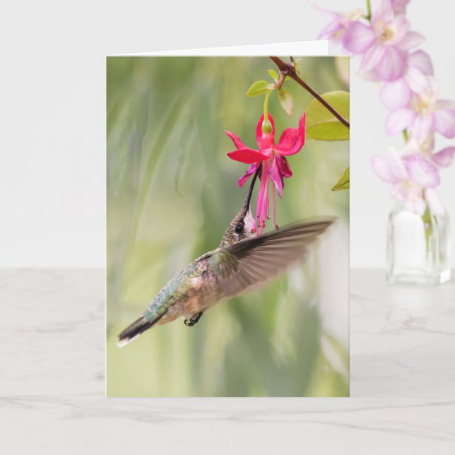 Favorite Fuchsia Hummingbird Card (Orchid)
