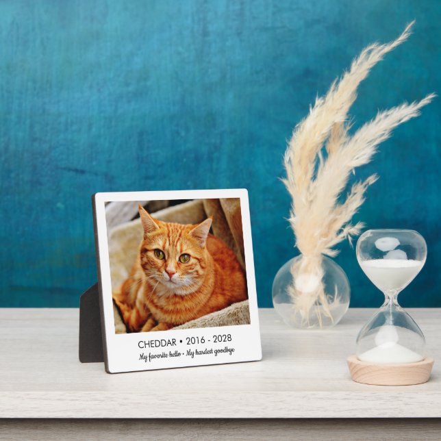 Favorite Hello Hardest Goodbye Pet Memorial Photo Plaque (Insitu)