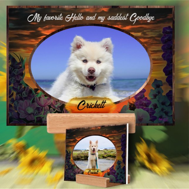 Favorite Hello Sunset 2584 Picture Holder (Creator Uploaded)