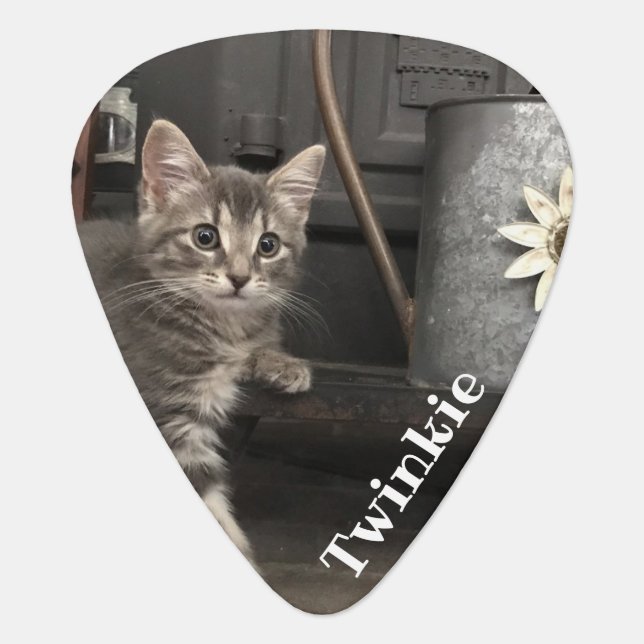 Favorite Pet Photo Monogrammed   Guitar Pick (Front)