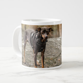 Favorite Pet Photo Personalized Dog Cat Portrait Giant Coffee Mug