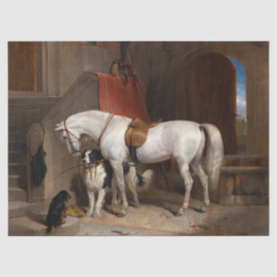 Favorites, Property of Prince George of Cambridge Tissue Paper