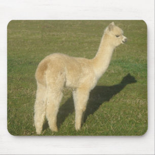 Fawn alpaca mouse pad